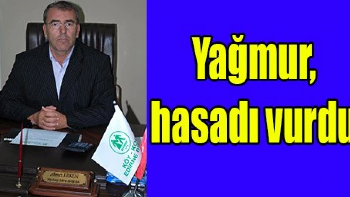 Yağmur, hasadı vurdu