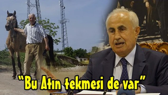 'Bu Atın tekmesi de var'