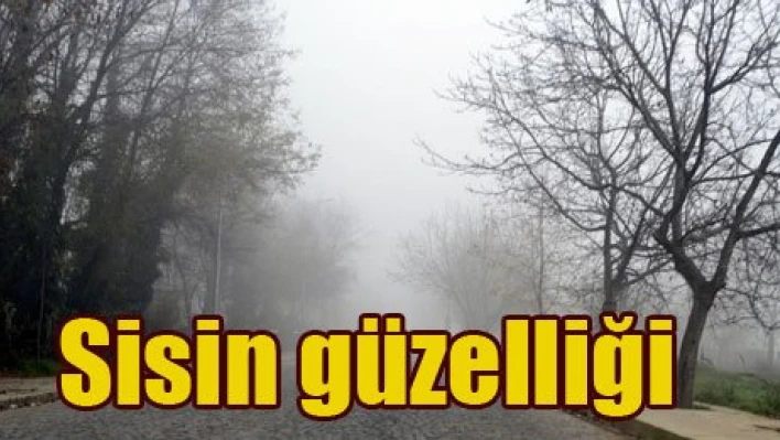 Sis basınca