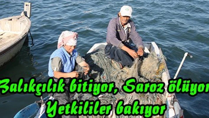Balıkçılık bitiyor, Saroz ölüyor, Yetkililer bakıyor