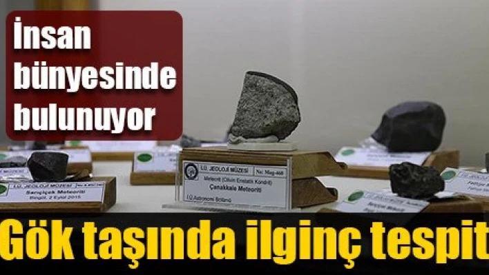 Meteorda yaşam izi bulundu
