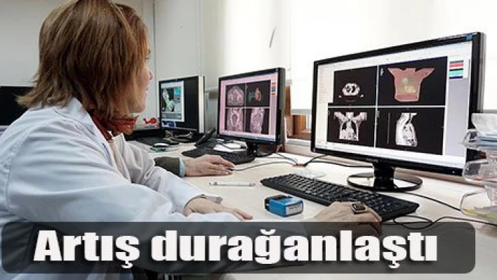 Artış durağanlaştı