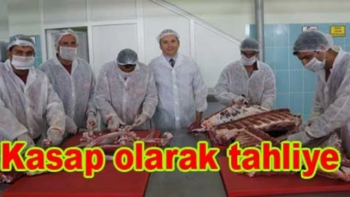 Meslek sahibi olarak tahliye oluyorlar