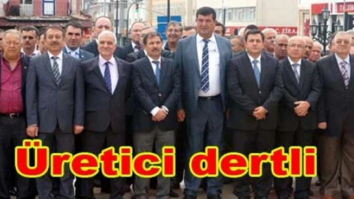 “Önemi artıyor, üretim artmıyor”