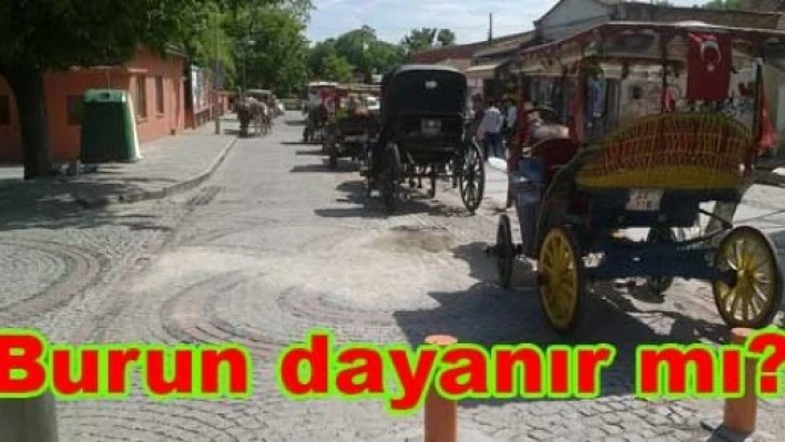 Bu kokuya burun dayanır mı?