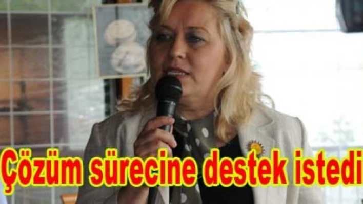 Çözüm sürecine kadın desteği arayışı 