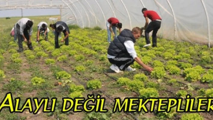  Öğreniyor, üretiyor, satıyorlar