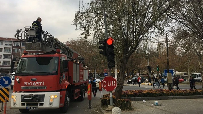 İtfaiyenin kedi mesaisi