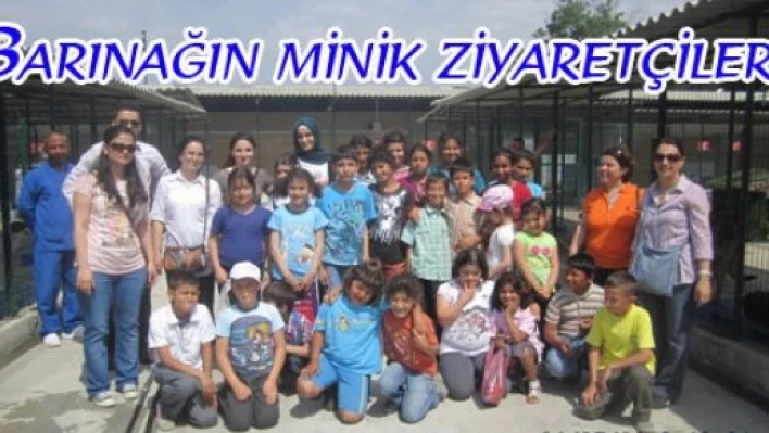  Öğrencilerin hayvan sevgisi
