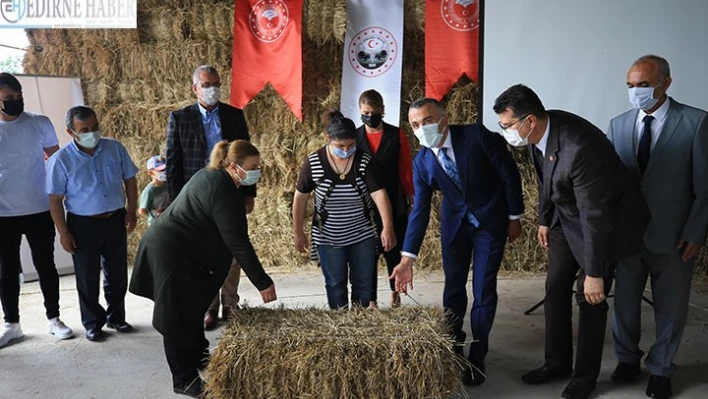 Merada yetiştirilen yem bitkileri besicilere dağıtıldı
