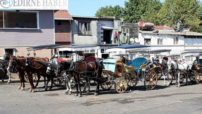 Edirne'de ruam hastalığına rastlanmadı