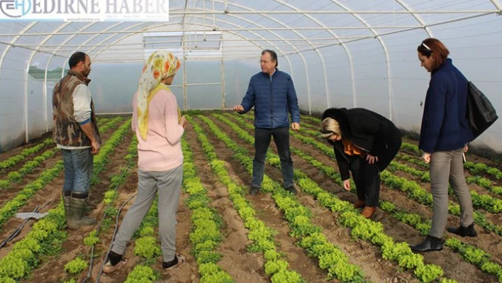 Genç Çiftçi Projesi ile üretime katkı sağlıyor