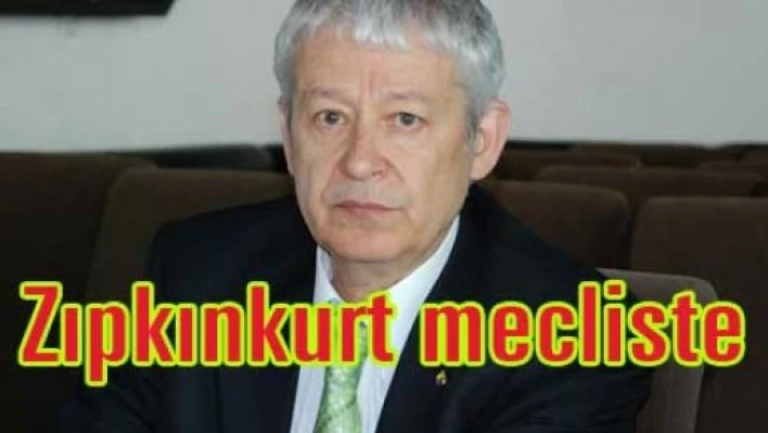 Zıpkınkurt Mecliste