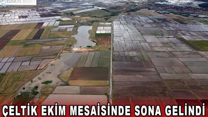 Çeltik ekim mesaisinde sona gelindi