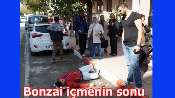 Bonzai komasına girdi