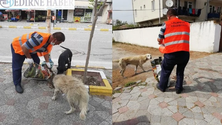 Sokak hayvanları unutulmuyor