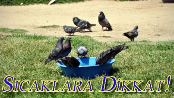  Pastırma sıcaklarına dikkat