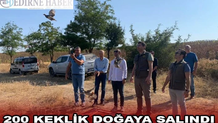 Edirne'de tarım alanlarındaki zararlılarla mücadele için doğaya 200 keklik salındı