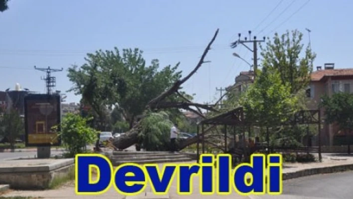 Daha fazla dayanamadı