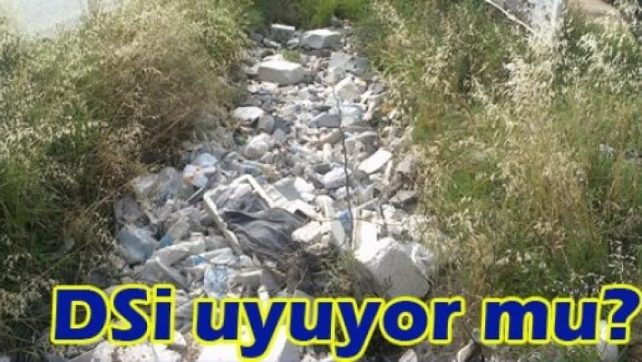  DSİ Uykuda mı?