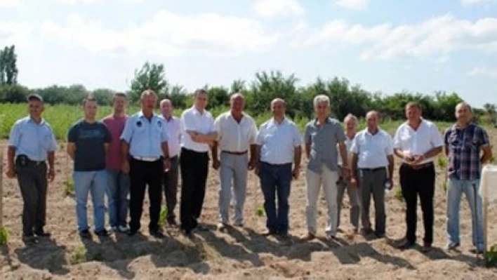  Üzüm yetiştiricilerine destek geldi
