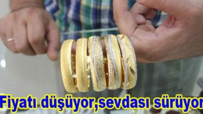 Fiyatı düşüyor, sevdası sürüyor