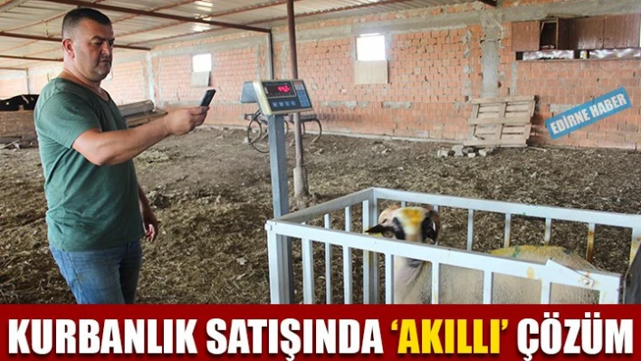 Cep telefonu ile kurbanlık satışı