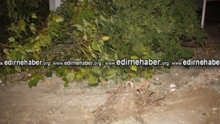 Ermeydanı birinci oldu