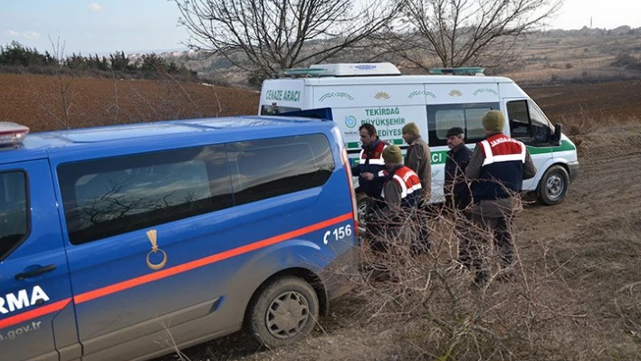 Cesedi tarlada bulundu