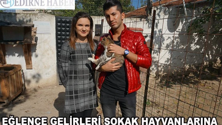 Gelirler, sokak hayvanlarına bağışlanacak