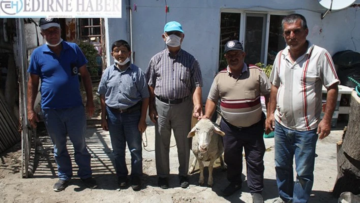 Tarlasında bulduğu koyunu sahibine ulaştrdı