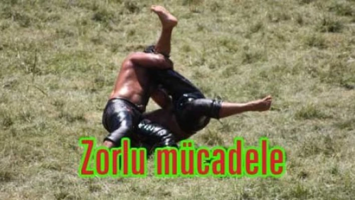 Zorlu mücadele