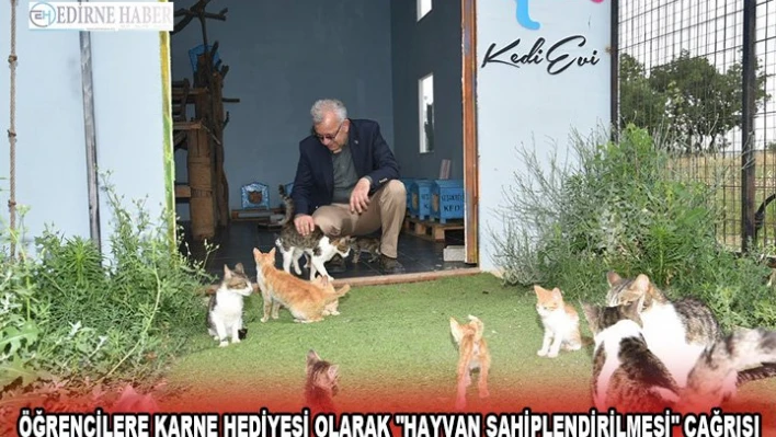 Öğrencilere karne hediyesi olarak 'hayvan sahiplendirilmesi' çağrısı