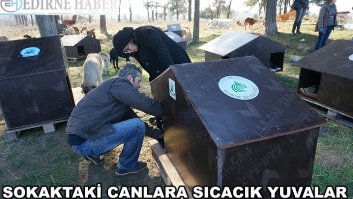 Sıcak yuvaları hazır