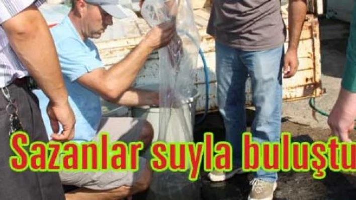 Göletler balıklandırılıyor
