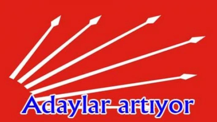 CHP teşkilatlarında seçim istifası