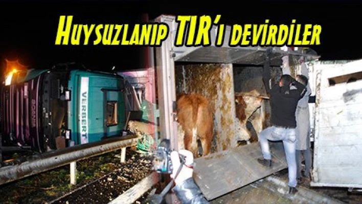 Huysuzlanıp TIR'ı devirdiler