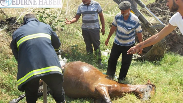 3 Metre çukurdan kurtarıldı