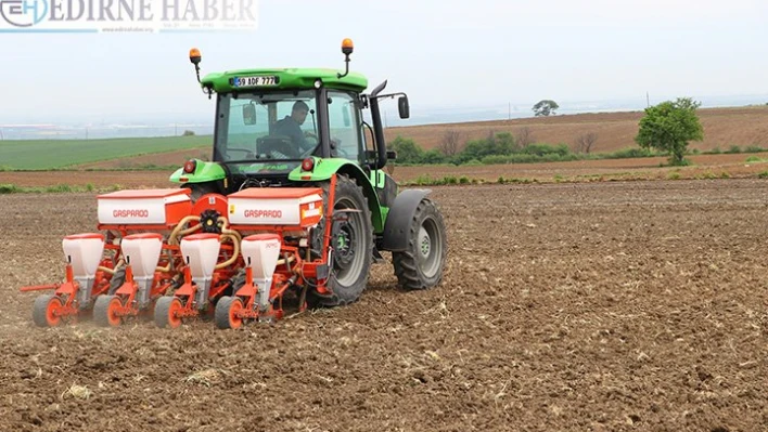 'Yerli hibrit ayçiçeği tohumları' toprakla buluşturuldu