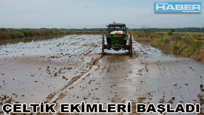 Çeltik ekimleri başladı