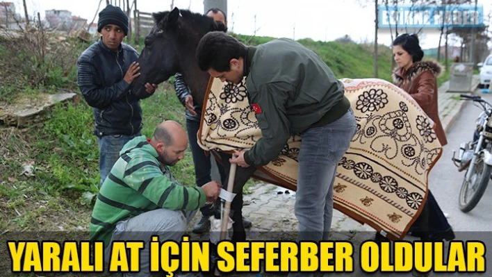 Seferber oldular