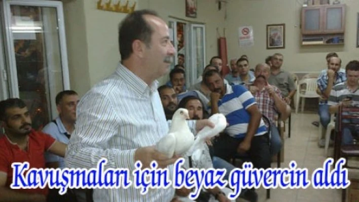  Beyaz güvercin aldı