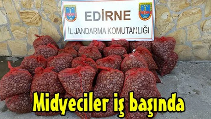 Midyeciler iş başında