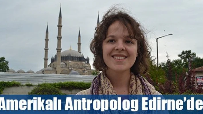 Romanları araştıracak