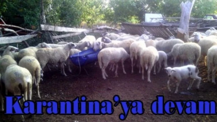 Karantina devam ediyor
