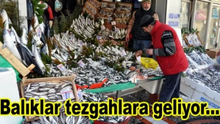 Tezgahlar yarın şenlenecek
