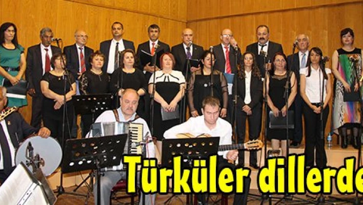 Türküler dillerde
