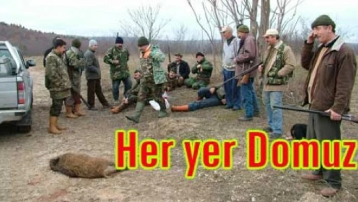 “Her yer domuz doldu”
