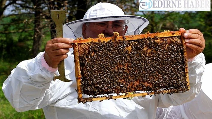 Çiftçi ilacı değiştirdi, arı ölümleri yüzde 80 azaldı