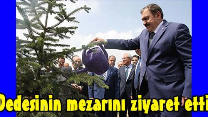 Dedesinin mezarını ziyaret etti